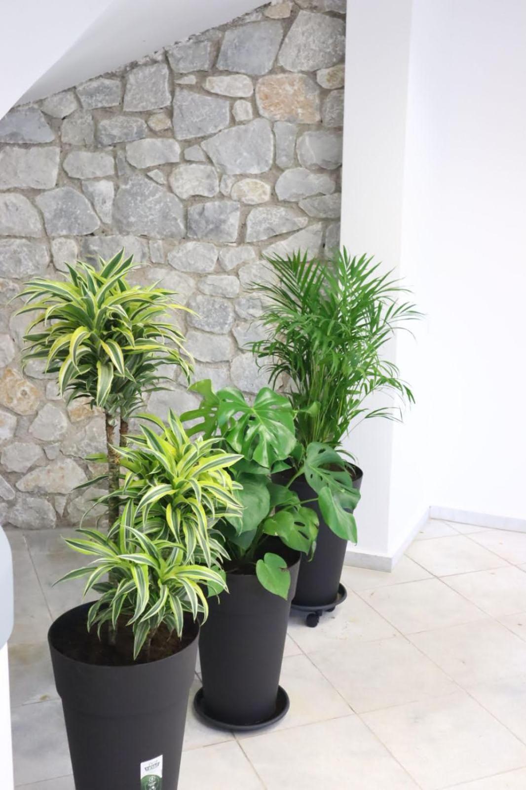 Eva'S Luxury Apartments No 2 Agios Spyridon  외부 사진